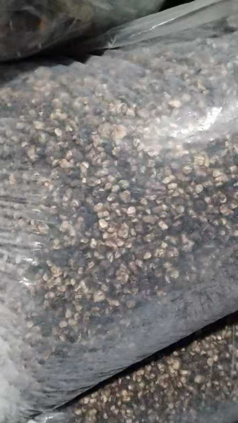 热销西峡食用菌香菇2.5-3cm纸箱包装帮助找车物流