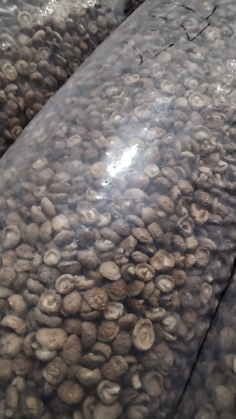 热销西峡食用菌香菇2.5-3cm纸箱包装帮助找车物流