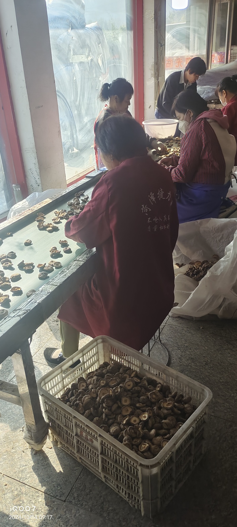 热销西峡食用菌香菇2.5-3cm纸箱包装帮助找车物流