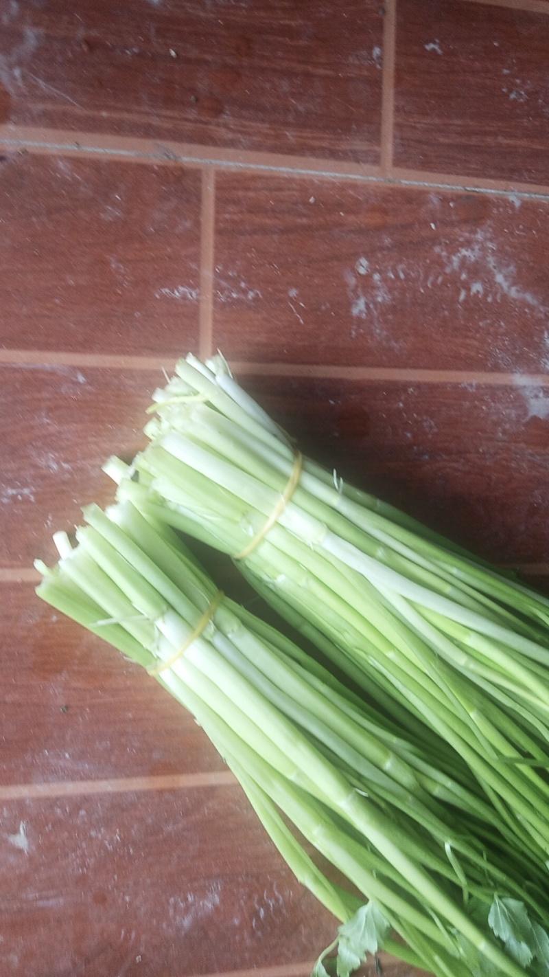 水芹菜（野芹菜）