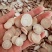 白芍白芍片无硫白芍片产地现货批发量大优惠实物拍摄图