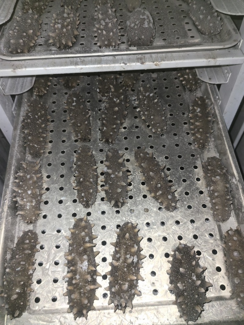 鲜食海参即食海参肉质肥厚Q弹产地直发保证品质