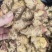 红芽小姜红芽鲜姜大量现货小姜鲜姜产地批发一手货源