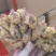 红芽小姜红芽鲜姜大量现货小姜鲜姜产地批发一手货源