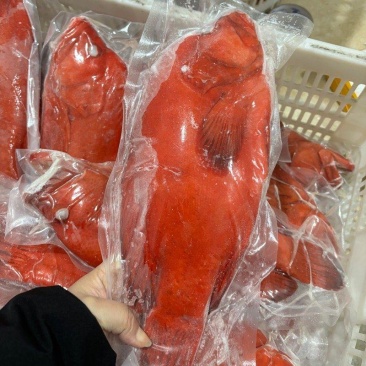 红瓜子斑一深海捕捞口感滑嫩，适合礼盒/酒店/家宴席。
