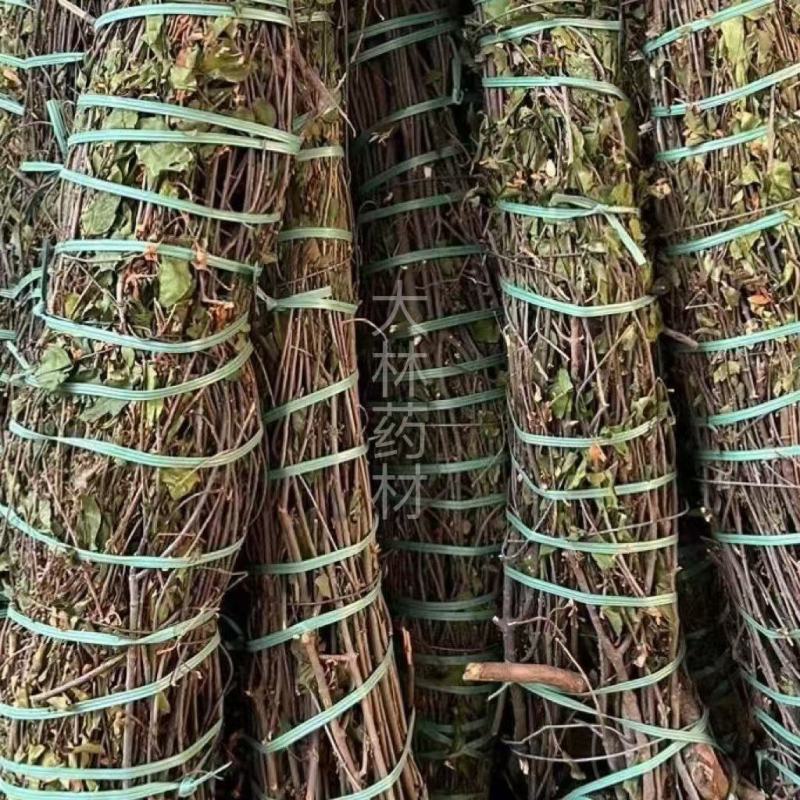 大货供应各种｛寄生、寄生茶｝均有货可批量可零售【包邮】