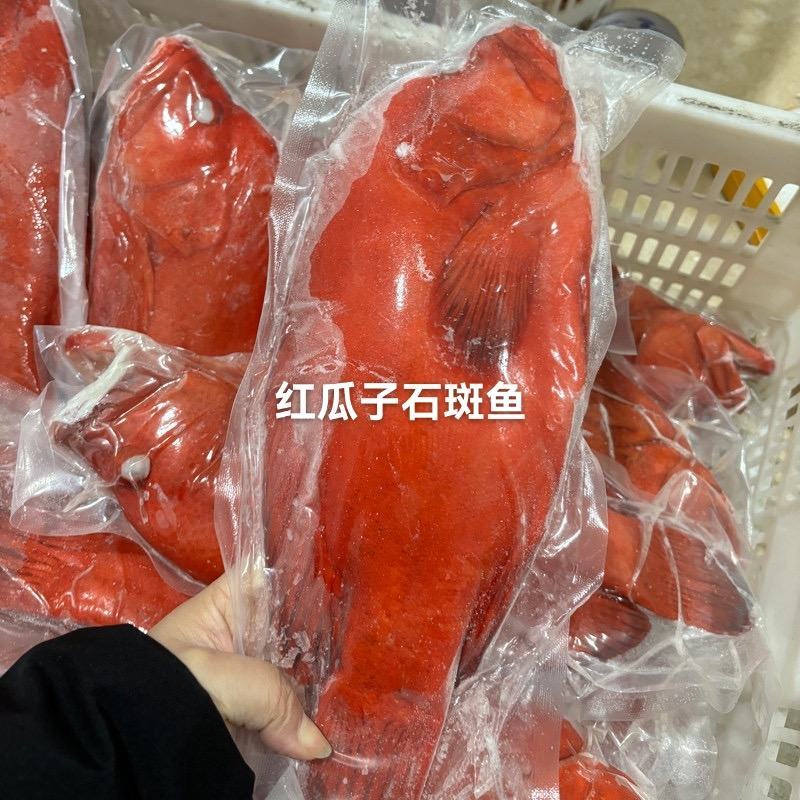 红瓜子斑一深海捕捞口感滑嫩，适合礼盒/酒店/家宴席。