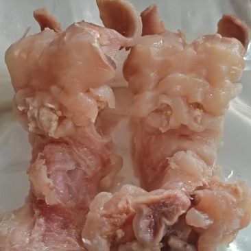 牛主筋