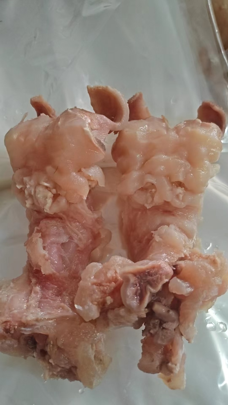 牛主筋