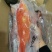 东星燕尾斑一深海野捕，液氮急冻锁鲜。礼盒/酒店/家宴/等