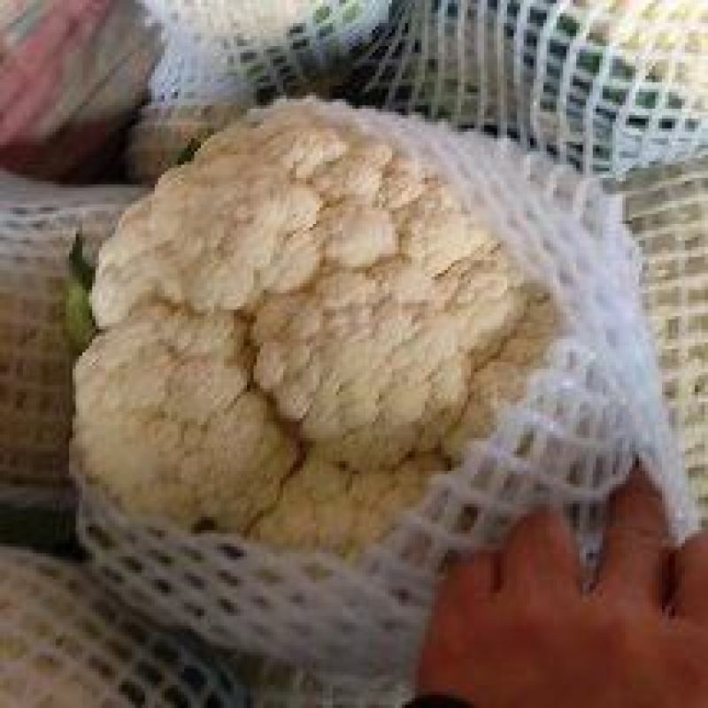 精品有机花