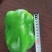 新宝罗特大甜椒种子高产青椒灯笼椒种子菜椒辣椒种籽好吃蔬菜