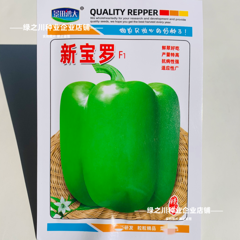 新宝罗特大甜椒种子高产青椒灯笼椒种子菜椒辣椒种籽好吃蔬菜