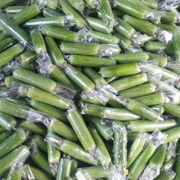 精品丝瓜