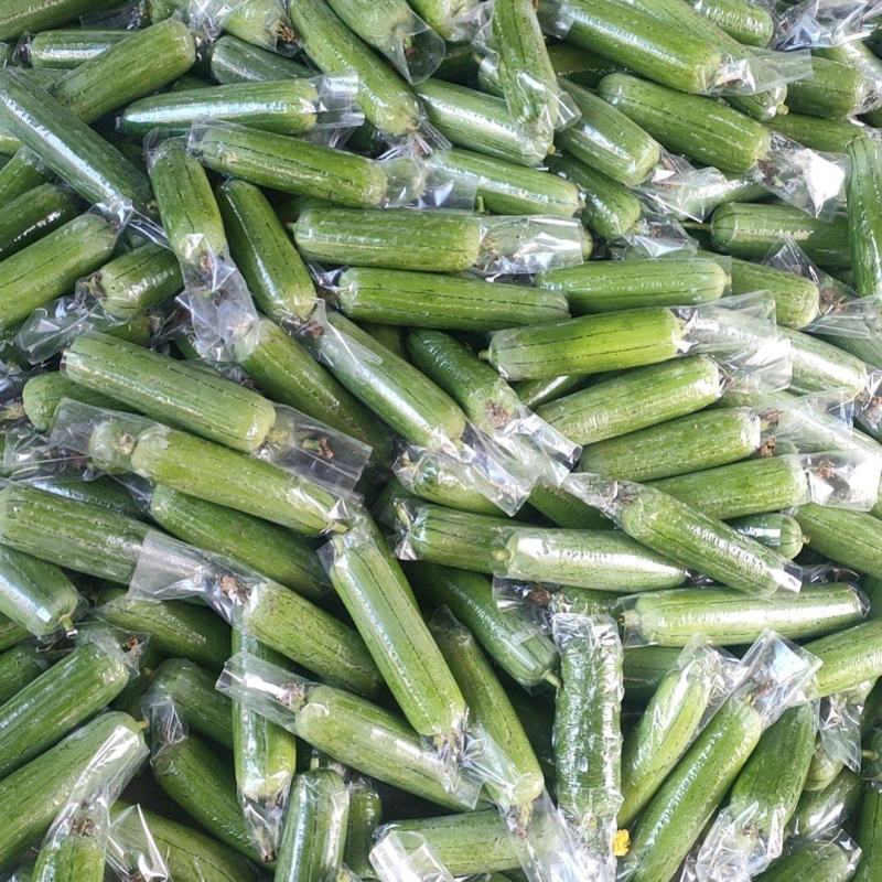 精品丝瓜