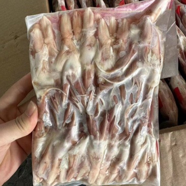 小鸭舌