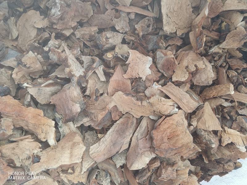 小米柴又名：米饭花、山胡椒，