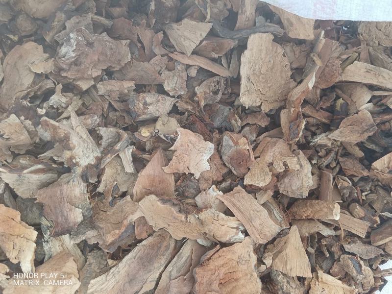 小米柴又名：米饭花、山胡椒，