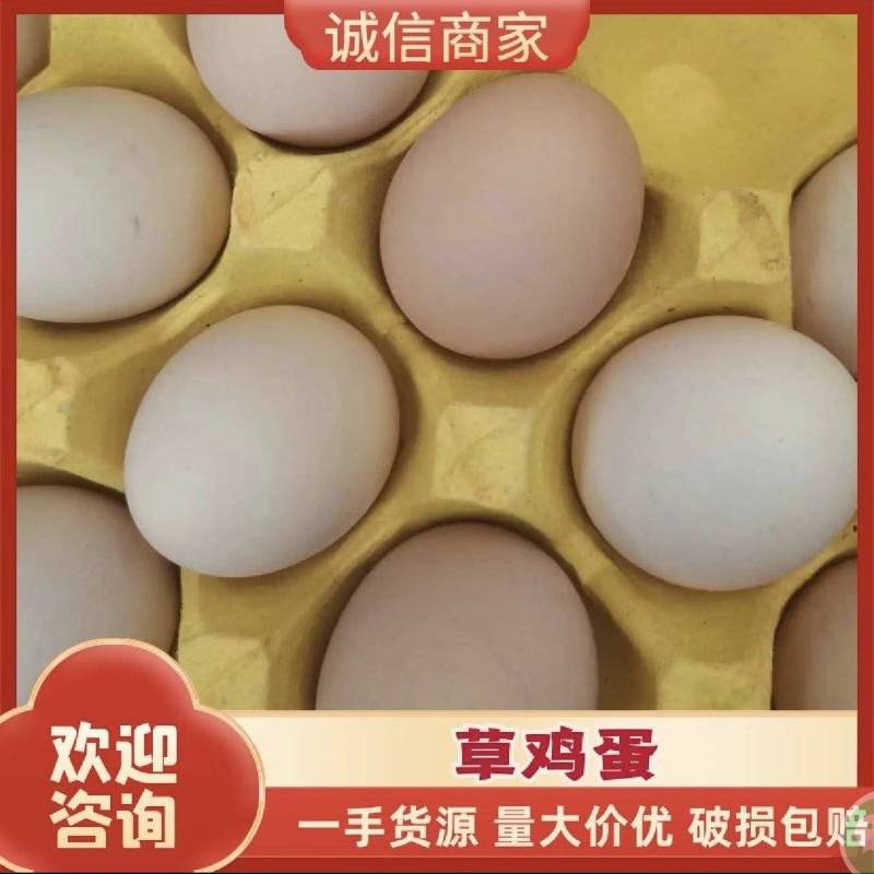 精美草鸡蛋产地直发价格优惠品质保证支持视频看货