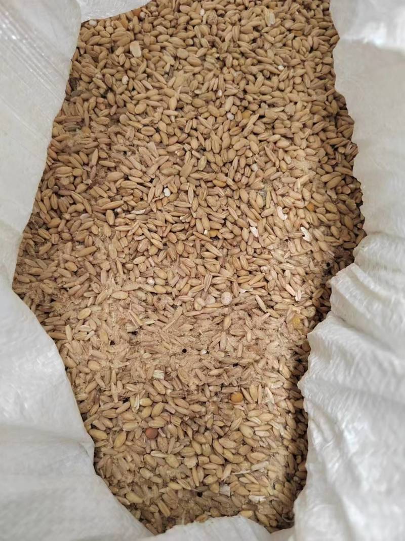 进口澳麦（燕麦皮）