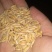 进口澳麦（燕麦皮）