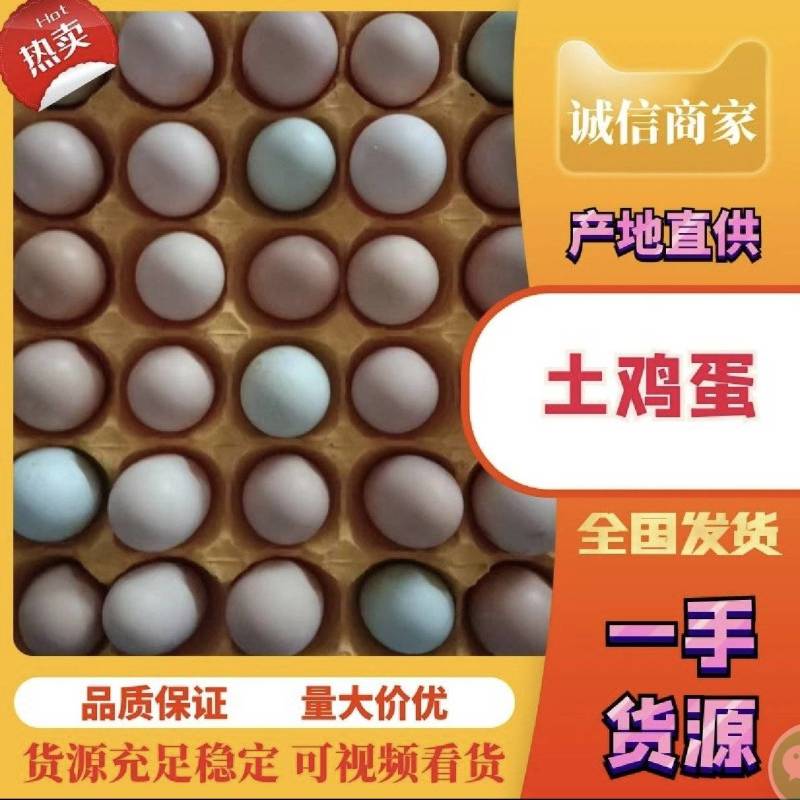 【诚信商家】现货绿壳蛋，草鸡蛋，粉壳蛋，红壳蛋，品种齐全