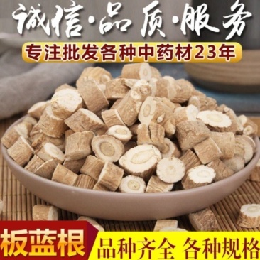 尤质板蓝根.