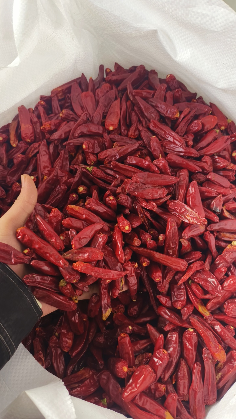 河南精品三樱椒干辣椒产地直发品质保证量大从优