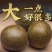 罗汉果广西桂林