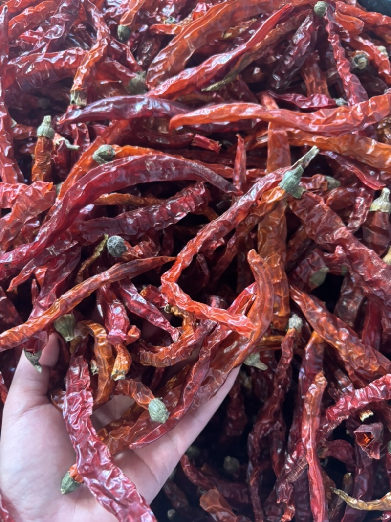 云南二荆条干辣椒