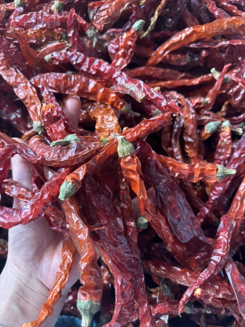 云南二荆条干辣椒