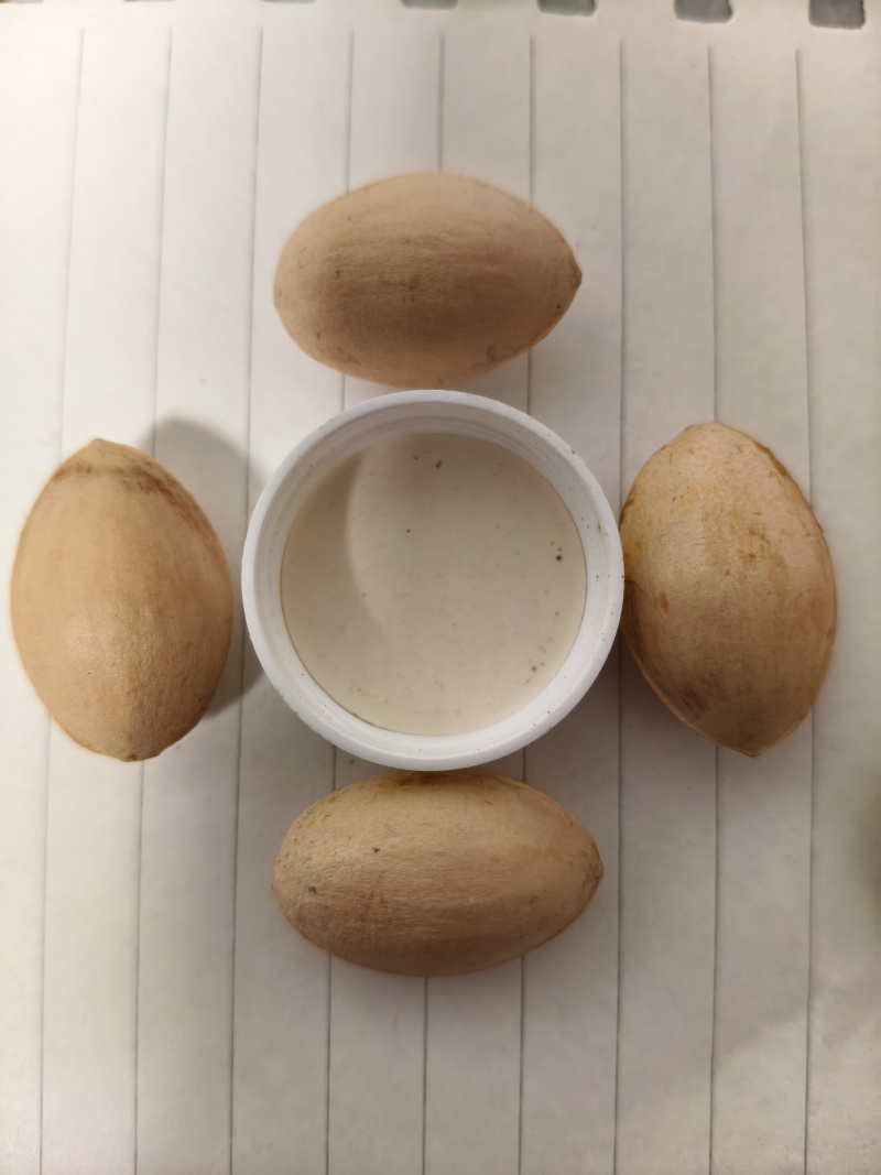 白果统货，有大有小，没有分，统一价卖，周边200公里包送