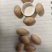 白果统货，有大有小，没有分，统一价卖，周边200公里包送