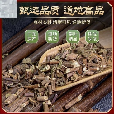 中药材.霍香.广霍香