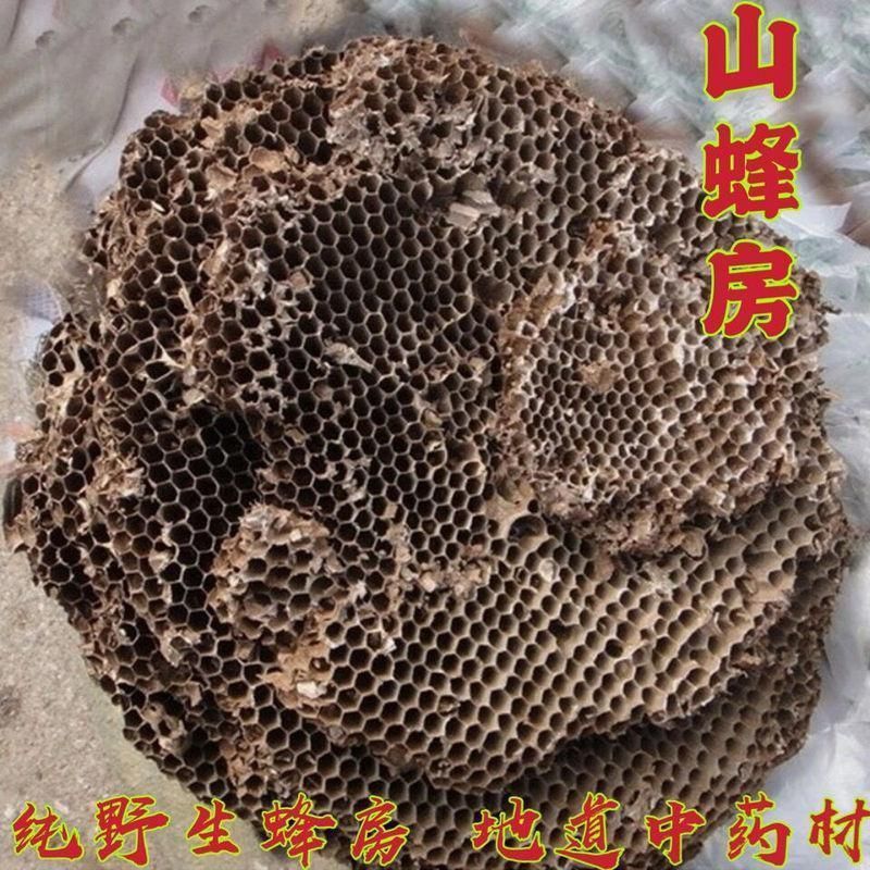 野生蜂房