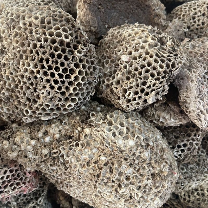 野生蜂房