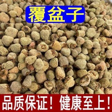 覆盆子中药材，野生覆盆子