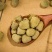 覆盆子中药材，野生覆盆子