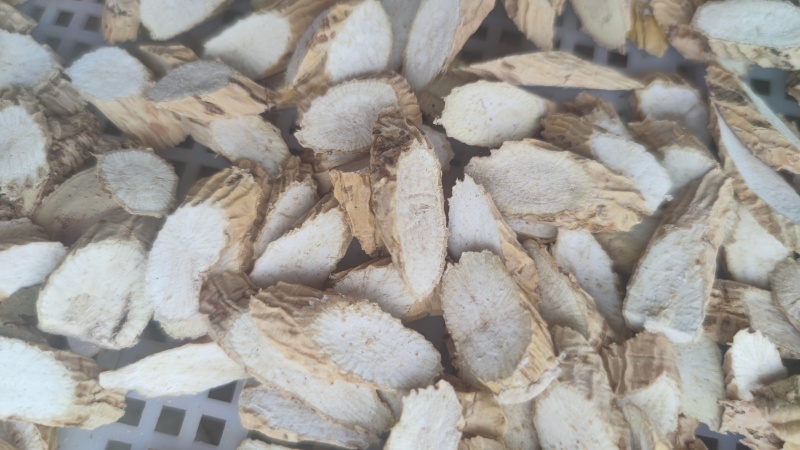 精选牛大力大片