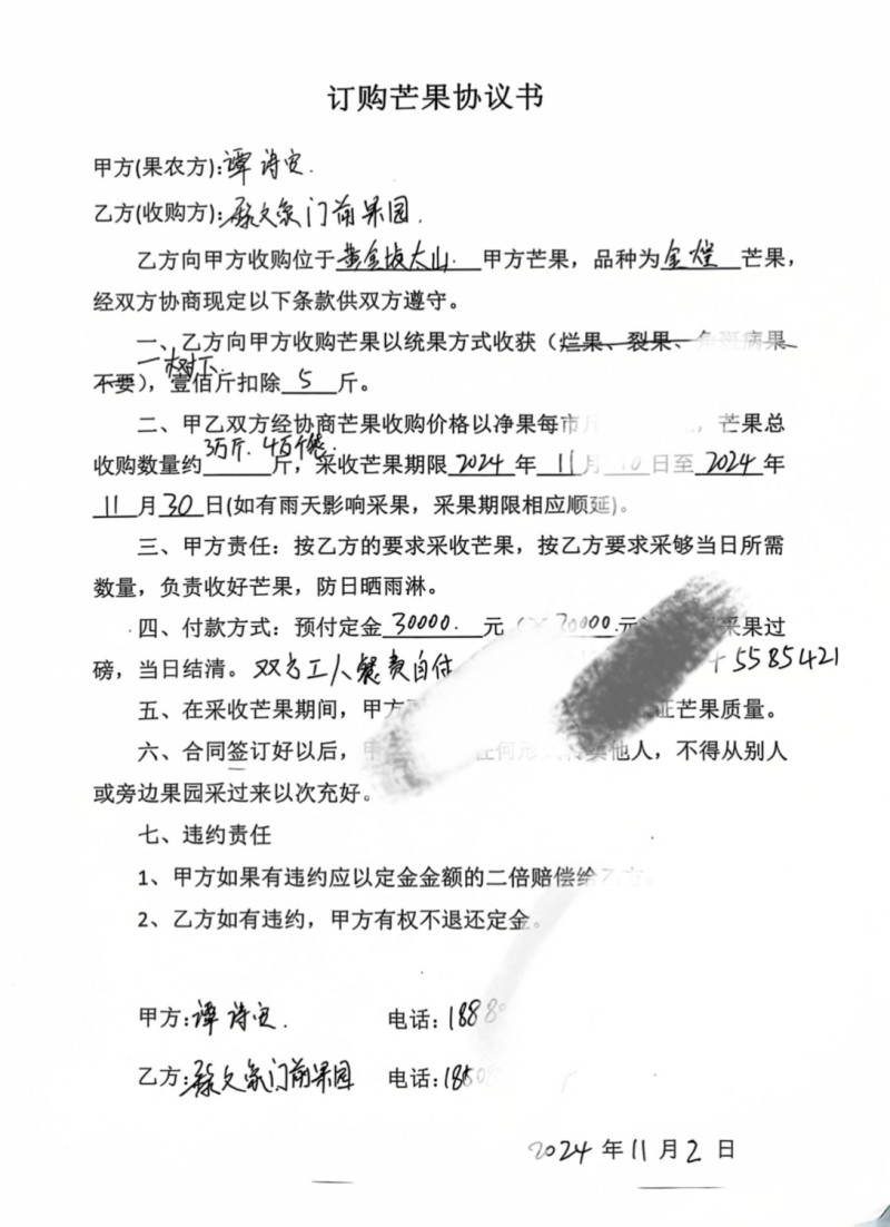 三亚台农芒，可接一件代发整车批发等业务欢迎咨询