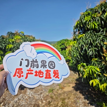 三亚台农芒，可接一件代发整车批发等业务欢迎咨询