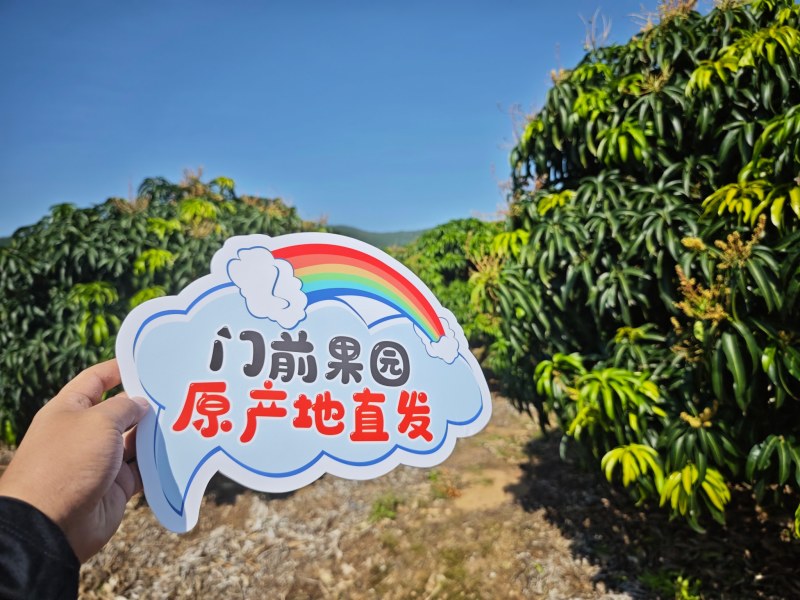 三亚台农芒，可接一件代发整车批发等业务欢迎咨询