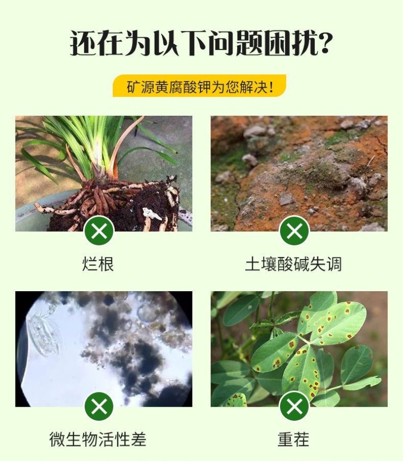新疆矿源黄腐酸钾土壤活化剂花肥松土酸碱生根植物花卉通用
