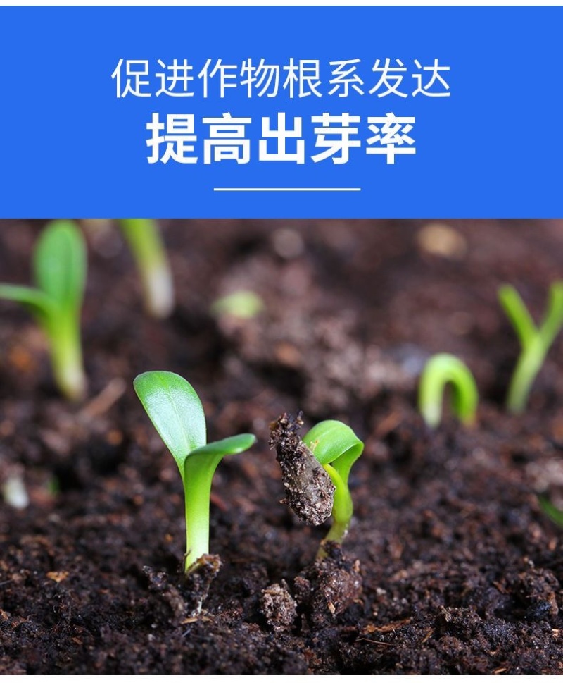 新疆矿源黄腐酸钾土壤活化剂花肥松土酸碱生根植物花卉通用
