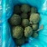 河北邯郸精品西兰花
