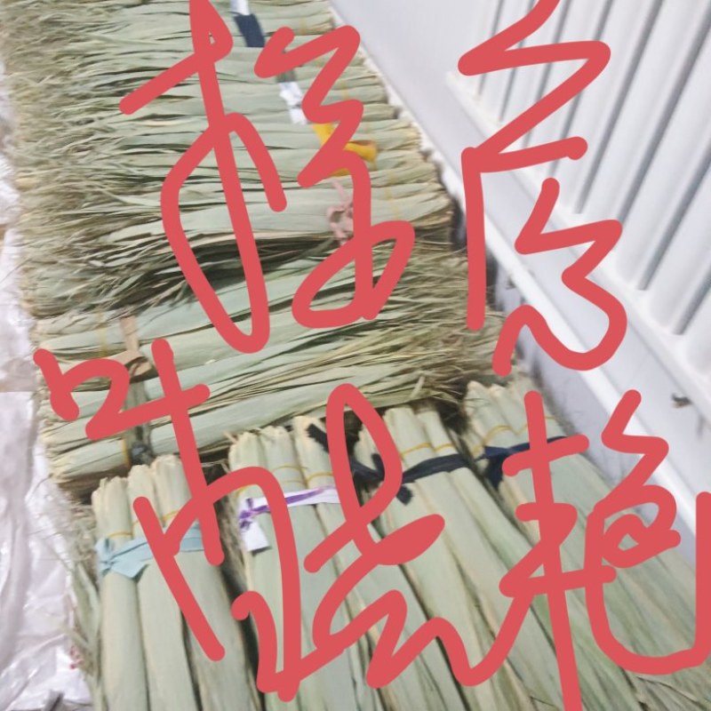 安徽芦苇叶