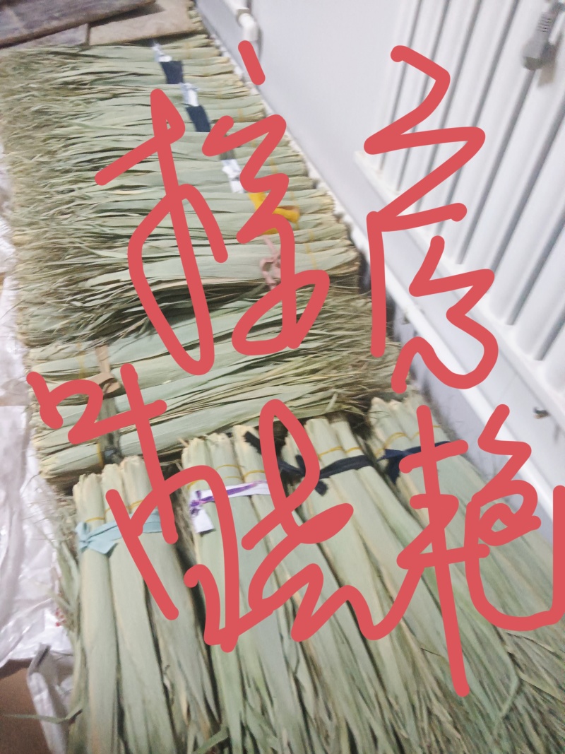 安徽芦苇叶