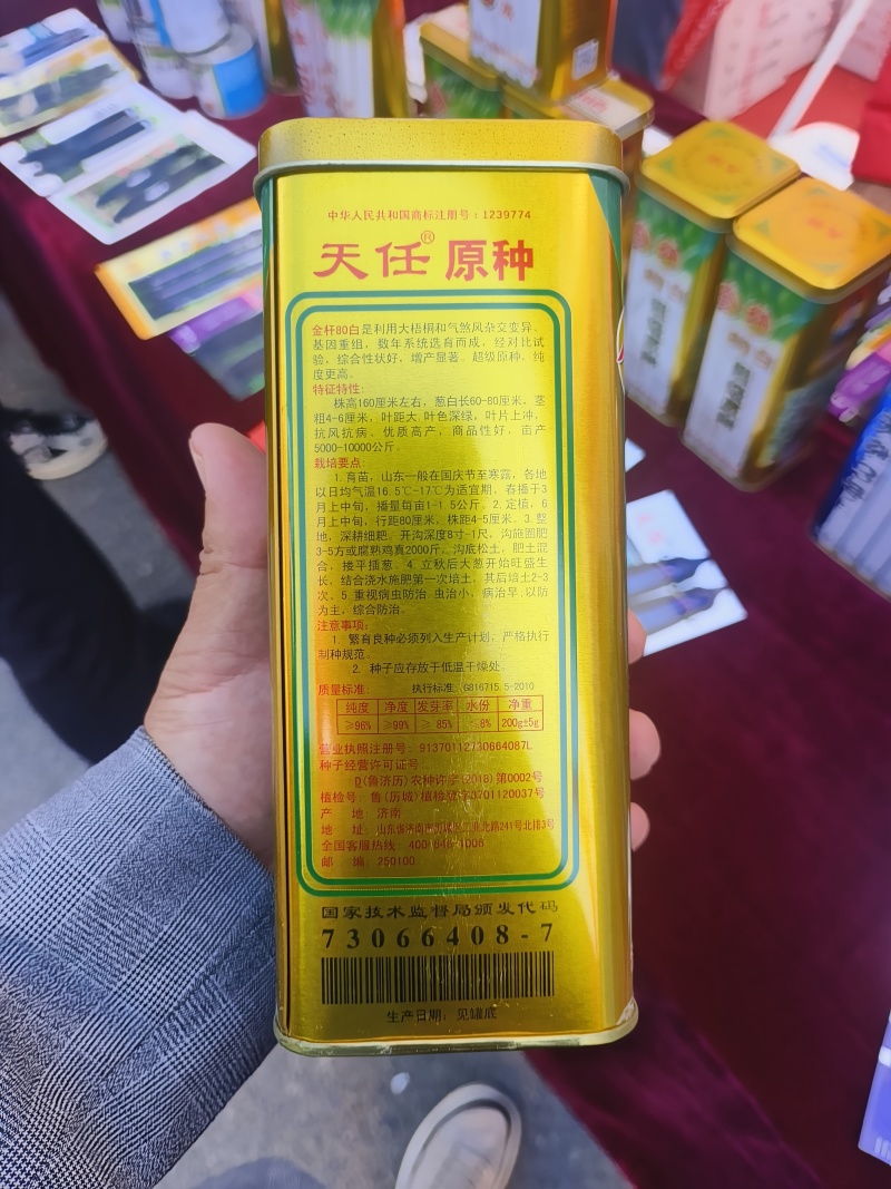 原葱金杆80白抗风抗病株高160厘米叶片上汁粗6厘米