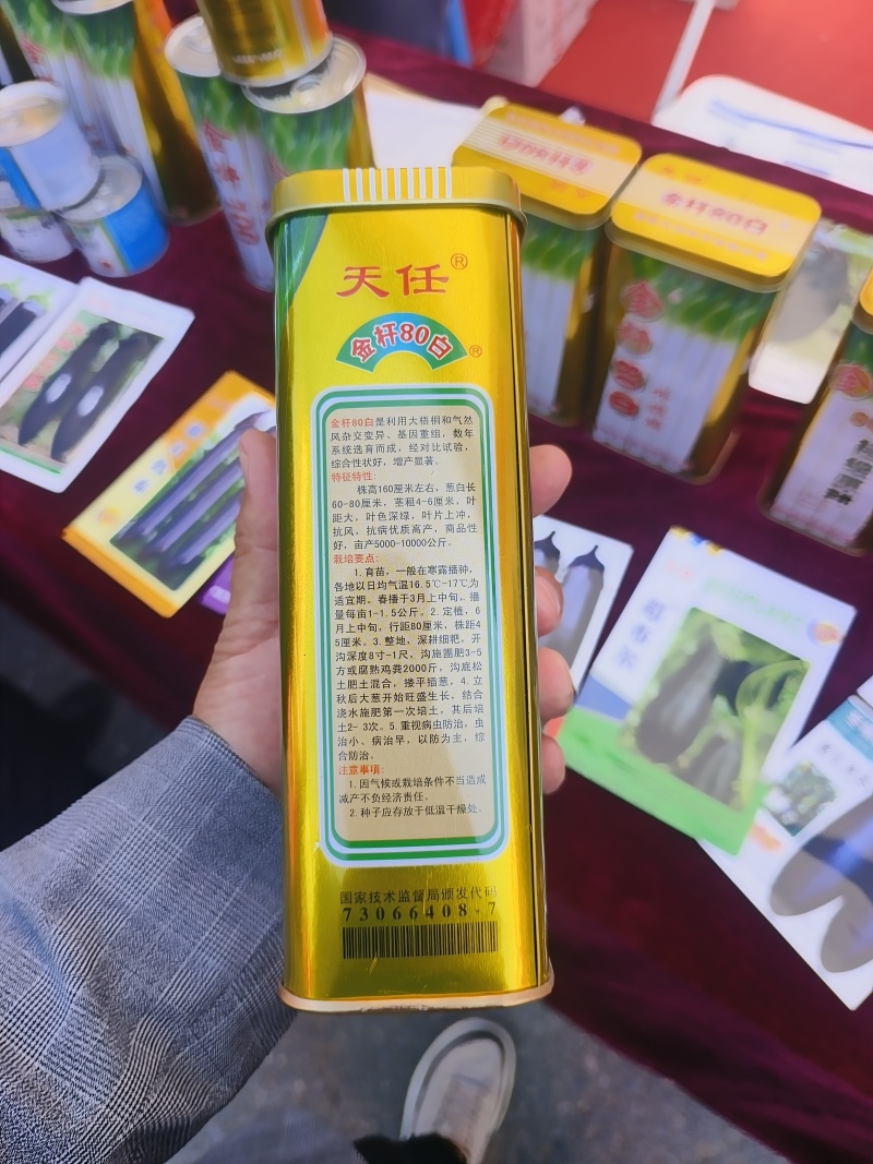原葱金杆80白抗风抗病株高160厘米叶片上汁粗6厘米