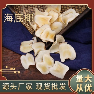 海底椰批发优质海底椰可供大货量大价优可供批发零售